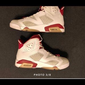 Jordan Retro 6 Alternate